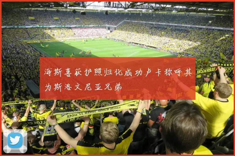 海斯喜获护照归化成功卢卡称呼其为斯洛文尼亚兄弟