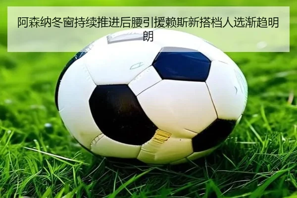 阿森纳冬窗持续推进后腰引援赖斯新搭档人选渐趋明朗 - kaiyun